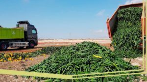Lee más sobre el artículo Despilfarro por sistema