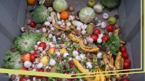 Lee más sobre el artículo Un reto para 2021: luchar contra el despilfarro de alimentos