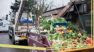 Lee más sobre el artículo Análisis de la legislación en España en materia de despilfarro de alimentos