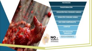 Lee más sobre el artículo La Tomatina y ley de prevención