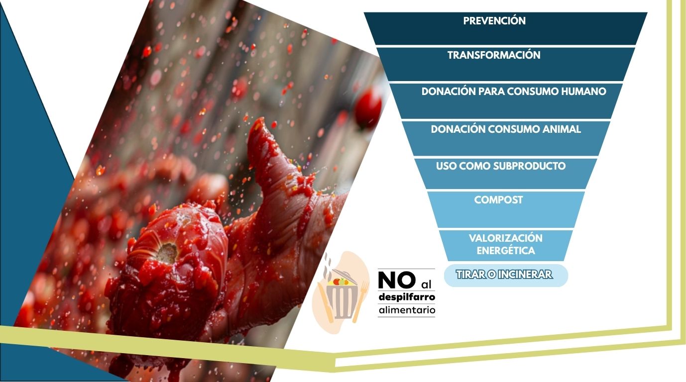 En este momento estás viendo La Tomatina y ley de prevención
