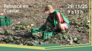 Lee más sobre el artículo ¡Súmate a una mañana de rebusca en Cuéllar!