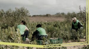 Lee más sobre el artículo Cuéllar se suma a la lucha contra las pérdidas y el desperdicio alimentario