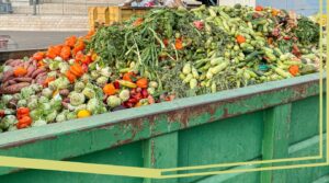 Lee más sobre el artículo Un estudio del CSIC revela el elevado precio medioambiental del descarte de frutas y hortalizas en España